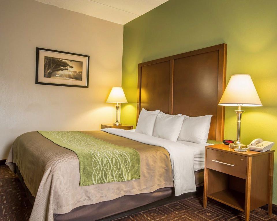 Comfort Inn Asheville Airport Fletcher Exterior photo